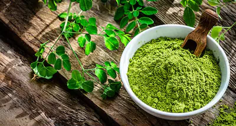 Moringa Benefits : गर्मियों में सेहत के लिए किसी वरदान से कम नहीं है मोरिंगा, जानें इसे खाने के फ़ायदे