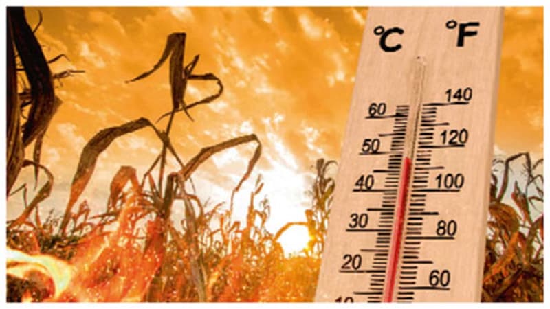 Scorching heat : मप्र में प्रचंड गर्मी, दिन के साथ अब रात में भी बढ़ने लगी तपिश