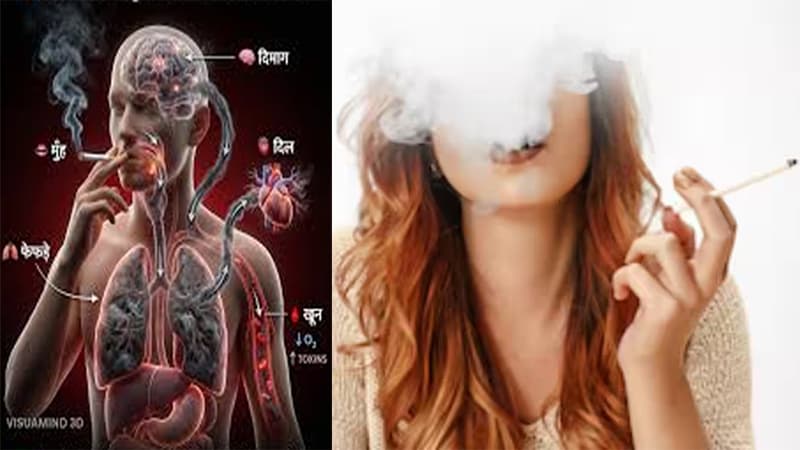 Smokers Brains Shrinking : सिगरेट फूंकने वालों का सिकुड़ रहा दिमाग, नई स्टडी में चौंकाने वाले खुलासे !