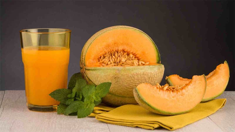 muskmelon Effects : खरबूजे का ज़्यादा सेवन फ़ायदेमंद नहीं, हो सकता है नुकसानदायक, जानें कैसे?