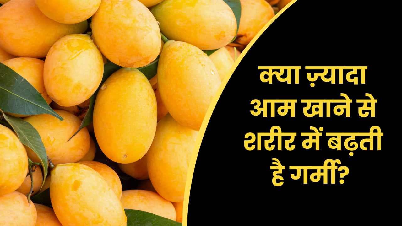 क्या ज़्यादा आम खाने से शरीर में बढ़ती है गर्मी? जानिए फायदे, नुकसान और सही मात्रा