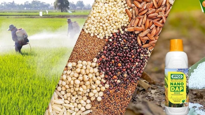 Fake Fertilizers-Seeds: बाजार में नकली खाद-बीजों की भरमार, धोखाधड़ी से बचने किसान अपनाएं ये उपाय, जानें कैसे परखें?