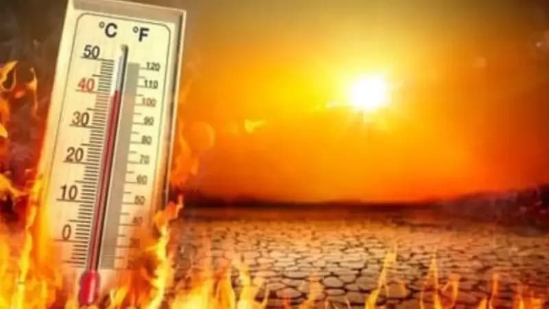 Heatwave: मध्य प्रदेश में आग उगल रहा 'नौतपा', 16 शहरों में पारा 44°C पार, अगले 3 दिनों आंधी-बारिश के आसार