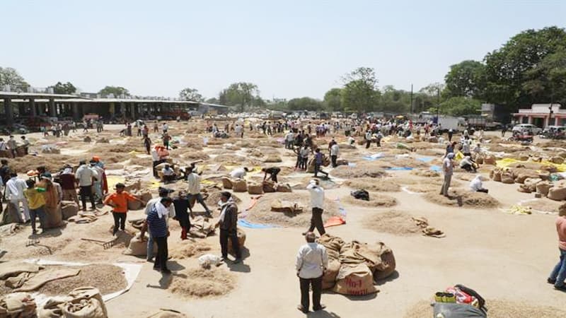 Herbal Market: औषधीय और मसाले वाली फ़सलों के लिए देश का सबसे बड़ा व्यापारिक केंद्र बना नीमच, जानें कैसे आय बढ़ा रहे किसान?