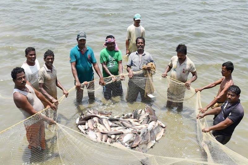 Success Story: योजना का सहारा लेकर युवा ने गढ़े सफलता के सोपान, सालाना ₹13 लाख का मुनाफ़ा कमाकर बने दूसरों के लिए प्रेरणा, जानें कैसे?