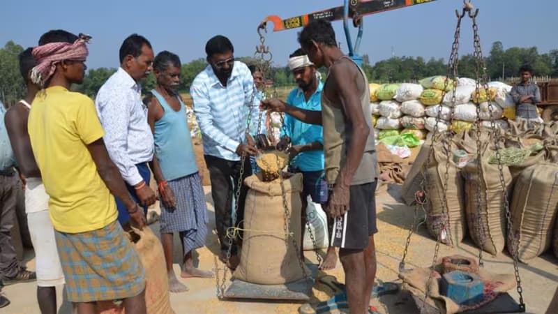 Wheat Procurement: मध्य प्रदेश में MSP पर गेहूं की खरीद का कोटा पूरा, 100 लाख टन के लक्ष्य से आगे निकली सरकार, जानें क्या करें किसान?