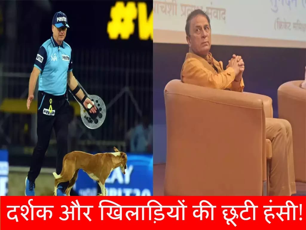 IPL 2023: मैच के दौरान ये क्या हुआ, स्टेडियम में बैठे फैंस ने लगाए ठहाके? IPL 2023: मैच के दौरान ये क्या हुआ, स्टेडियम में बैठे फैंस ने लगाए ठहाके?