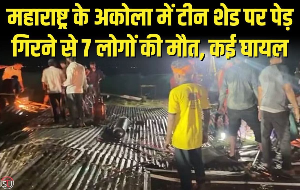 महाराष्ट्र के अकोला में टीन शेड पर पेड़ गिरने से 7 लोगों की मौत, कई घायल महाराष्ट्र के अकोला में टीन शेड पर पेड़ गिरने से 7 लोगों की मौत, कई घायल
