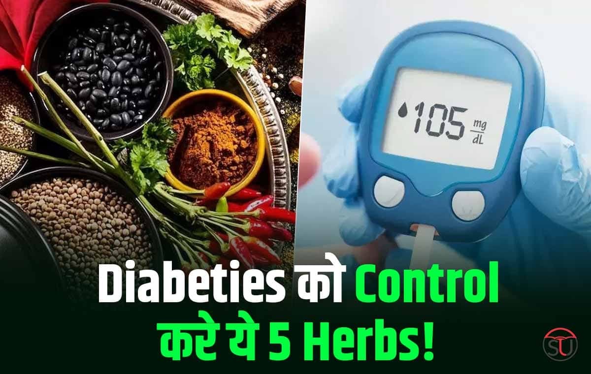Diabetes Tips: Kitchen में छुपे Diabetes के कई राज़, कुछ ऐसे शानदार Herbs जो संतुलन बनाए रखेंगे। Diabetes Tips: Kitchen में छुपे Diabetes के कई राज़, कुछ ऐसे शानदार Herbs जो संतुलन बनाए रखेंगे।