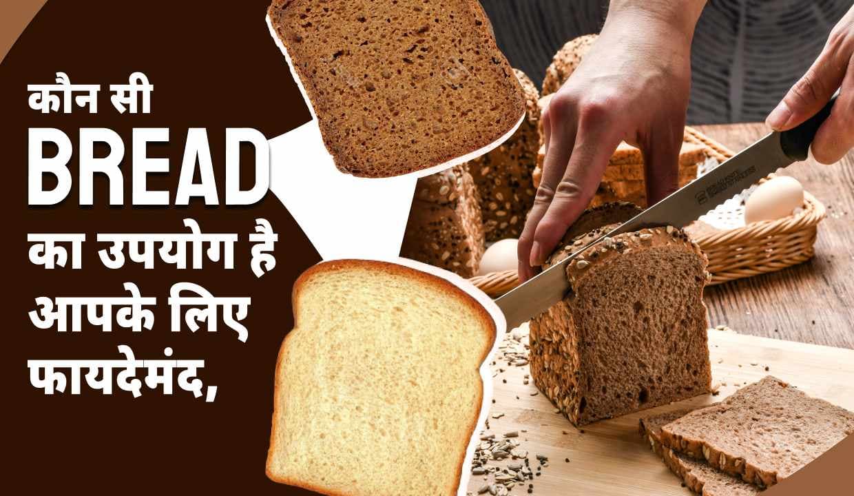 कौन सी Bread का उपयोग है आपके लिए फायदेमंद, जाने फायदे और नुकसान कौन सी Bread का उपयोग है आपके लिए फायदेमंद, जाने फायदे और नुकसान