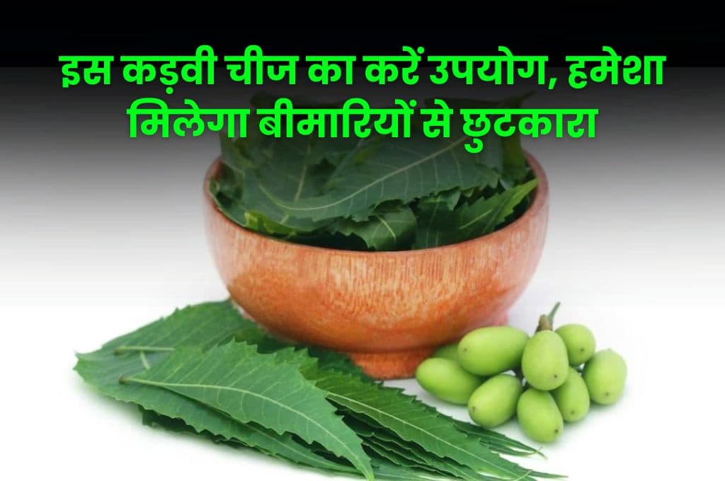 Good Health Tips: इस कड़वी चीज का करें उपयोग, हमेशा मिलेगा बीमारियों से छुटकारा, जानिए क्या है राज Good Health Tips: इस कड़वी चीज का करें उपयोग, हमेशा मिलेगा बीमारियों से छुटकारा, जानिए क्या है राज