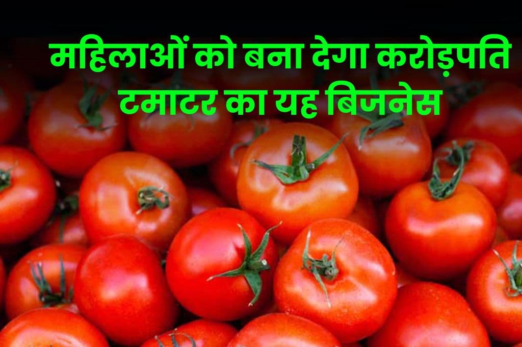 Business Idea:महिलाओं को बना देगा करोड़पति Tomato का यह बिजनेस, जानिए कैसे शुरू करे Business Idea:महिलाओं को बना देगा करोड़पति Tomato का यह बिजनेस, जानिए कैसे शुरू करे