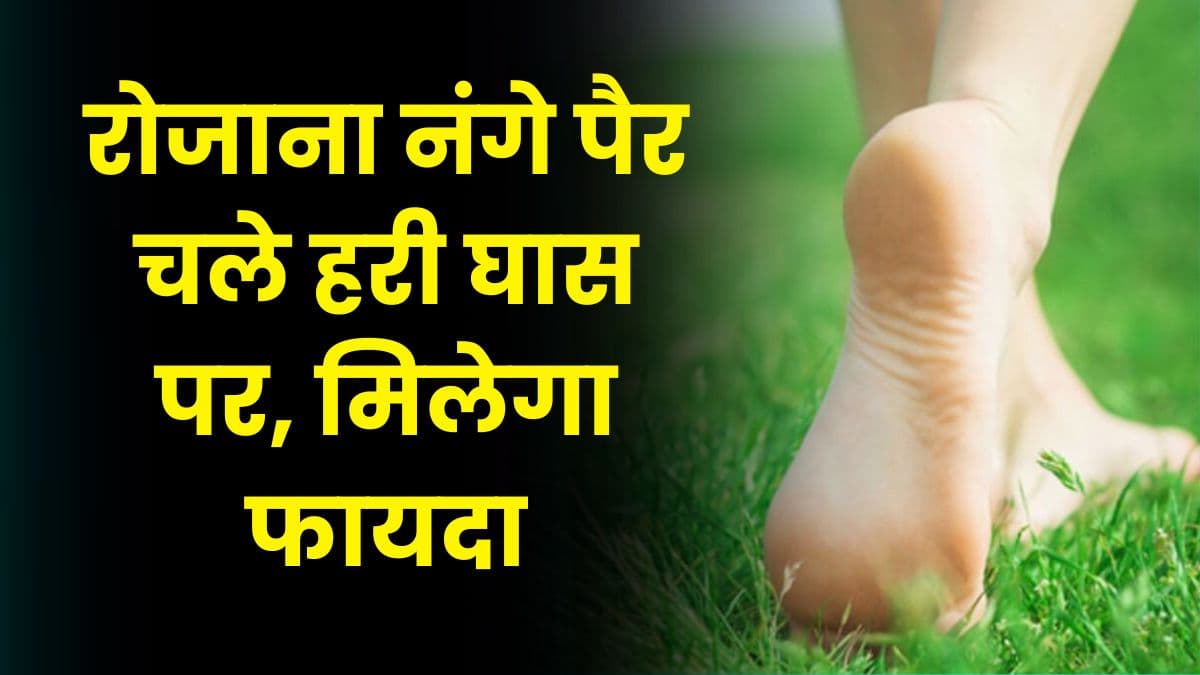 Good Health Tips: रोजाना नंगे पैर चले हरी घास पर, मिलेगा फायदा, जानिए क्या है राज Good Health Tips: रोजाना नंगे पैर चले हरी घास पर, मिलेगा फायदा, जानिए क्या है राज