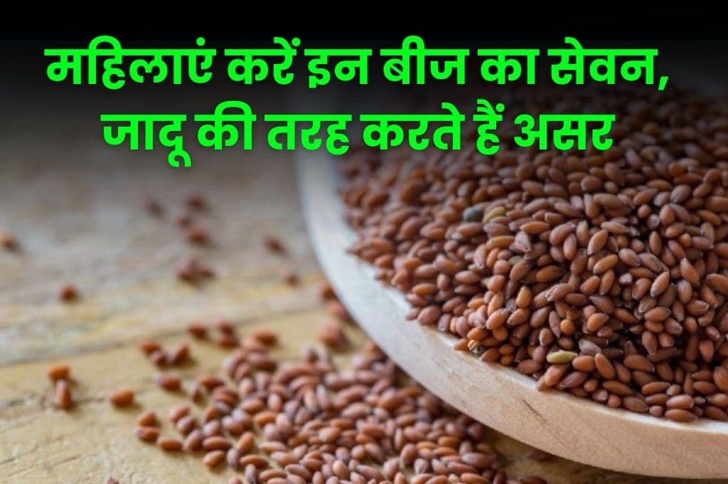 Good Health Tips: महिलाएं करें इन बीज का सेवन, जादू की तरह करते हैं असर, जानिए कौन सा है वह बीज Good Health Tips: महिलाएं करें इन बीज का सेवन, जादू की तरह करते हैं असर, जानिए कौन सा है वह बीज
