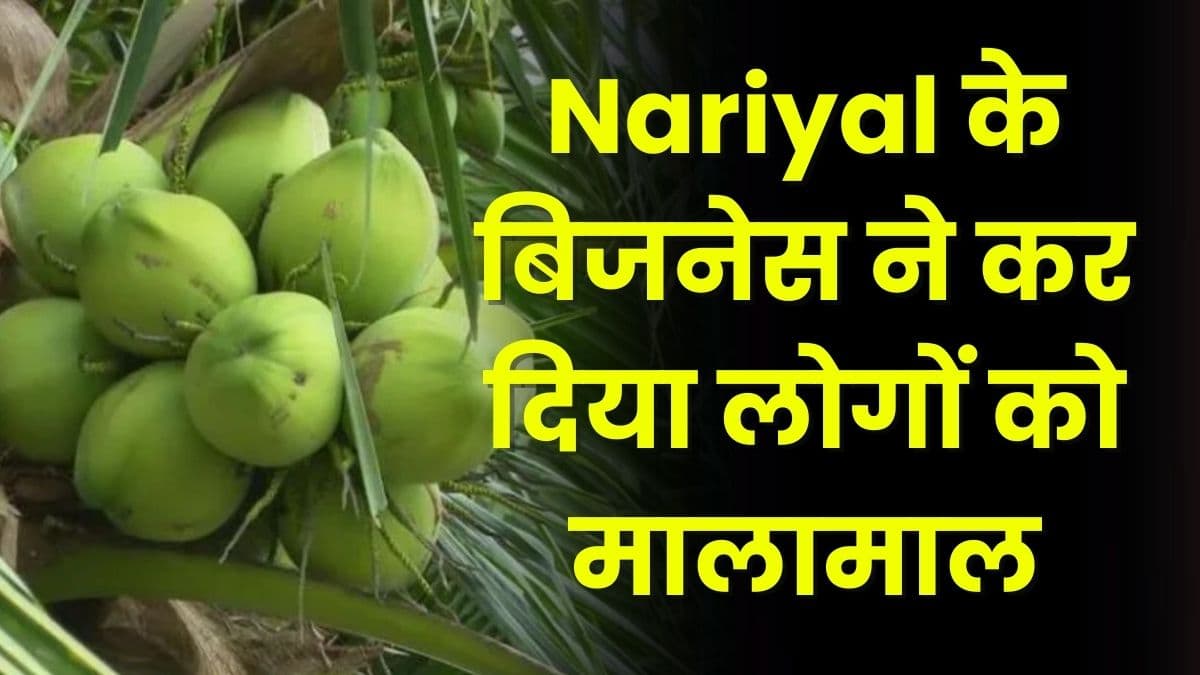 Nariyal Business ने कर दिया लोगों को मालामाल, जानिए कैसे शुरू करें इस बिजनेस को Nariyal Business ने कर दिया लोगों को मालामाल, जानिए कैसे शुरू करें इस बिजनेस को