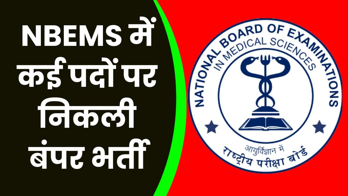 NBEMS में कई पदों पर निकली बंपर भर्ती, जाने आवेदन करने की अंतिम तिथि NBEMS में कई पदों पर निकली बंपर भर्ती, जाने आवेदन करने की अंतिम तिथि