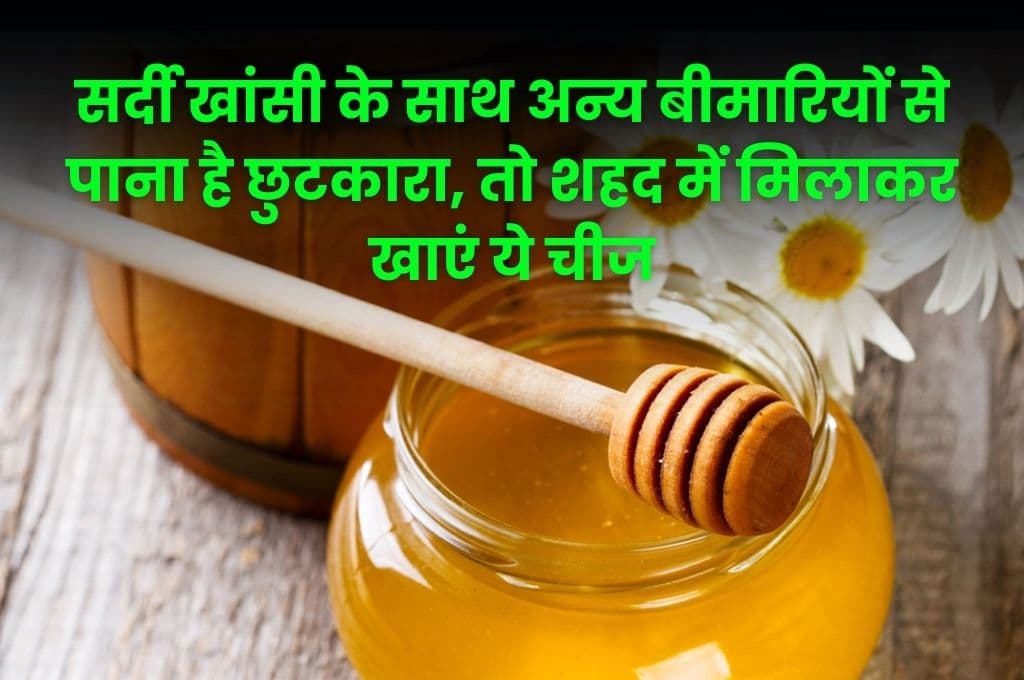 Health Tips: सर्दी खांसी के साथ अन्य बीमारियों से पाना है छुटकारा, तो शहद में मिलाकर खाएं ये चीज, मिलेगा बेहतर फायदा Health Tips: सर्दी खांसी के साथ अन्य बीमारियों से पाना है छुटकारा, तो शहद में मिलाकर खाएं ये चीज, मिलेगा बेहतर फायदा