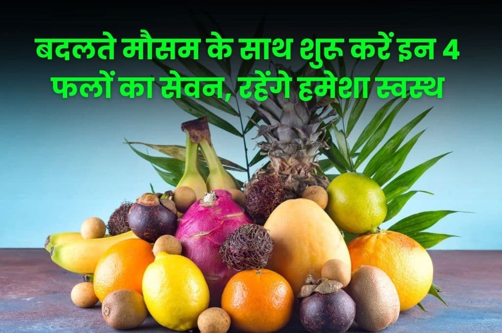 Health Tips: यदि बीमारियों से रहना है दूर, तो बदलते मौसम के साथ शुरू करें इन 4 फलों का सेवन, रहेंगे हमेशा स्वस्थ Health Tips: यदि बीमारियों से रहना है दूर, तो बदलते मौसम के साथ शुरू करें इन 4 फलों का सेवन, रहेंगे हमेशा स्वस्थ