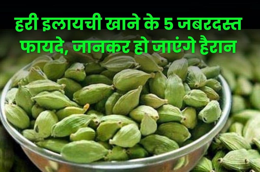 Health Tips: हरी इलायची खाने के 5 जबरदस्त फायदे, जानकर हो जाएंगे हैरान Health Tips: हरी इलायची खाने के 5 जबरदस्त फायदे, जानकर हो जाएंगे हैरान
