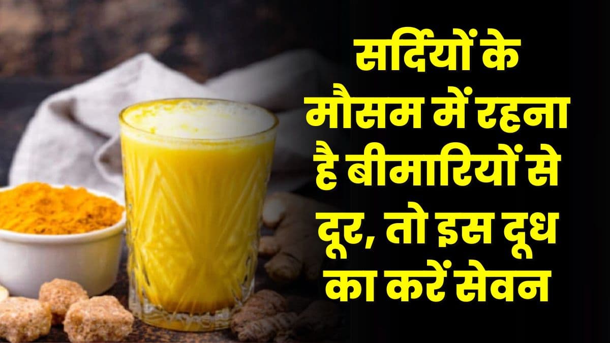 Health Tips: सर्दियों के मौसम में रहना है बीमारियों से दूर, तो इस दूध का करें सेवन Health Tips: सर्दियों के मौसम में रहना है बीमारियों से दूर, तो इस दूध का करें सेवन