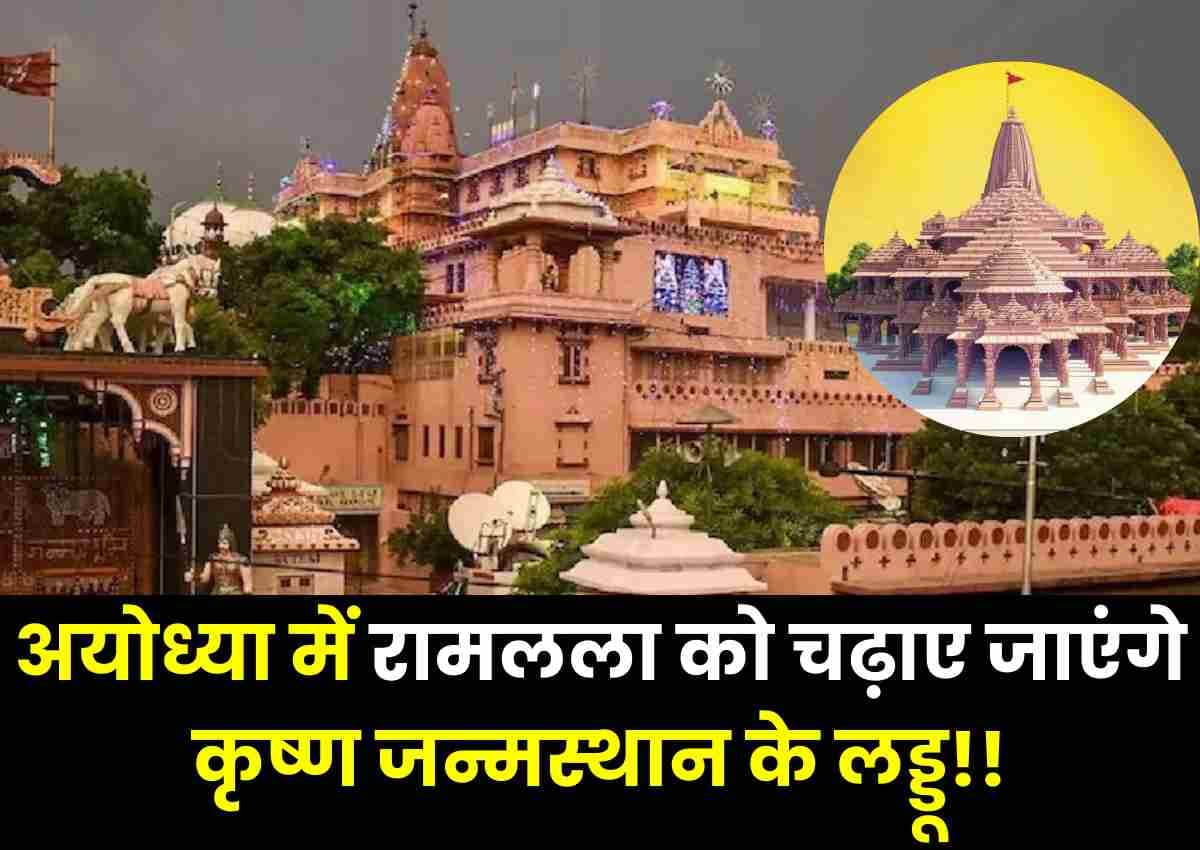 अयोध्या में रामलला (Ram lala) को चढ़ाए जाएंगे कृष्ण (Krishna) जन्मस्थान के लड्डू!! अयोध्या में रामलला (Ram lala) को चढ़ाए जाएंगे कृष्ण (Krishna) जन्मस्थान के लड्डू!!