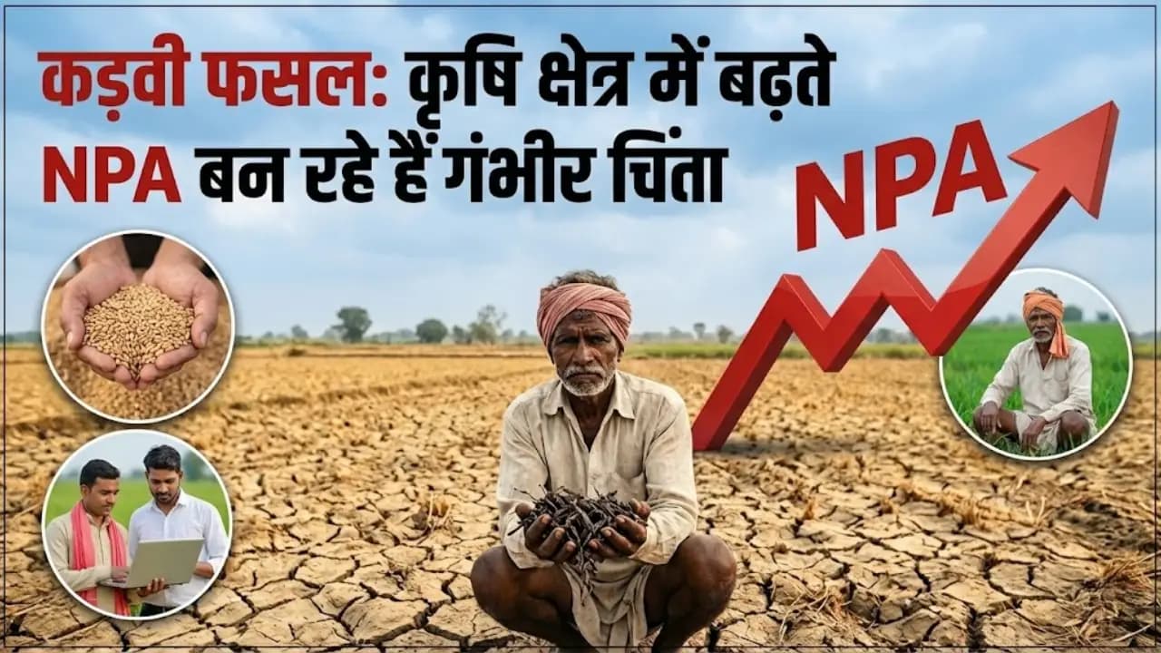 कड़वी फसल: कृषि क्षेत्र में बढ़ते NPA बन रहे हैं गंभीर चिंता कड़वी फसल: कृषि क्षेत्र में बढ़ते NPA बन रहे हैं गंभीर चिंता