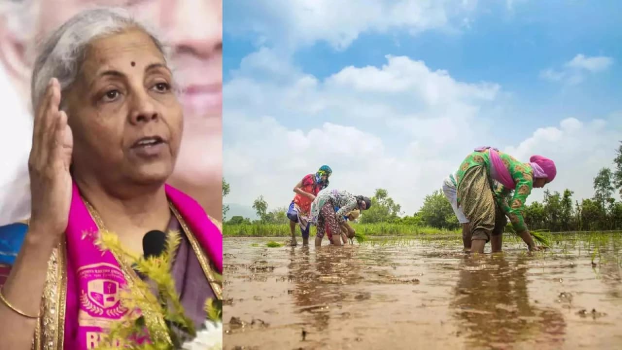 मध्यप्रदेश के किसानों के लिए खास होगा 2026, बजट में मिल सकती हैं बड़ी सौगातें मध्यप्रदेश के किसानों के लिए खास होगा 2026, बजट में मिल सकती हैं बड़ी सौगातें