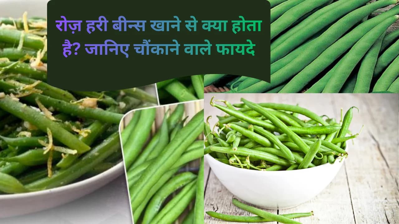 रोज़ हरी बीन्स खाने से क्या होता है? जानिए चौंकाने वाले फायदे रोज़ हरी बीन्स खाने से क्या होता है? जानिए चौंकाने वाले फायदे