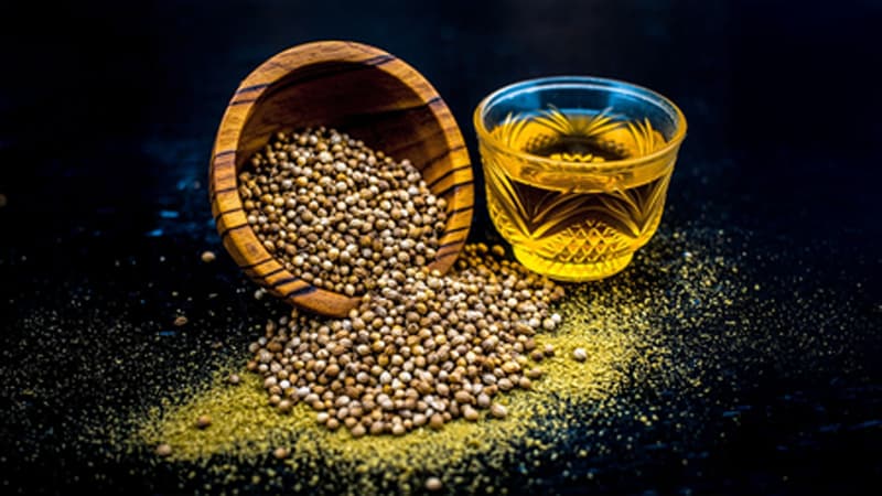 Health Benefits: धनिया और सौंफ का पानी शरीर के लिए होता है बेहद फायदेमंद, जानें तरीके Health Benefits: धनिया और सौंफ का पानी शरीर के लिए होता है बेहद फायदेमंद, जानें तरीके