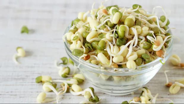 Health Tips : सेहत के लिए 'सुपरफ़ूड' है ये अंकुरित अनाज, जानें इसके फायदे Health Tips : सेहत के लिए 'सुपरफ़ूड' है ये अंकुरित अनाज, जानें इसके फायदे
