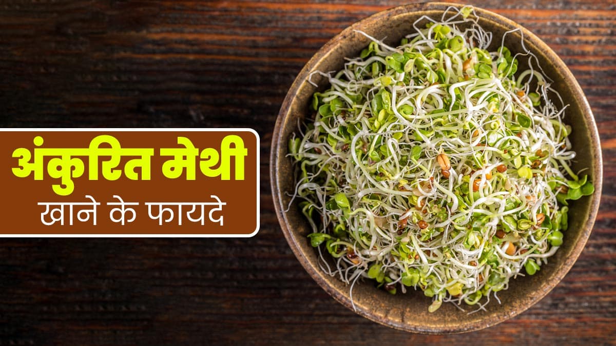 Sprouted Fenugreek Benefits: अमृत समान है अंकुरित मेथी, जानें हर सुबह इसे खाने के फायदे Sprouted Fenugreek Benefits: अमृत समान है अंकुरित मेथी, जानें हर सुबह इसे खाने के फायदे