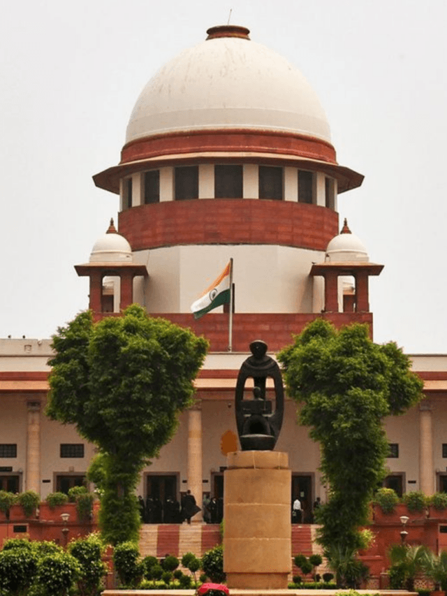 आवारा कुत्तों पर सुप्रीम कोर्ट का बड़ा फैसला: हटाने का आदेश लागू, राज्यों को सख्त निर्देश आवारा कुत्तों पर सुप्रीम कोर्ट का बड़ा फैसला: हटाने का आदेश लागू, राज्यों को सख्त निर्देश