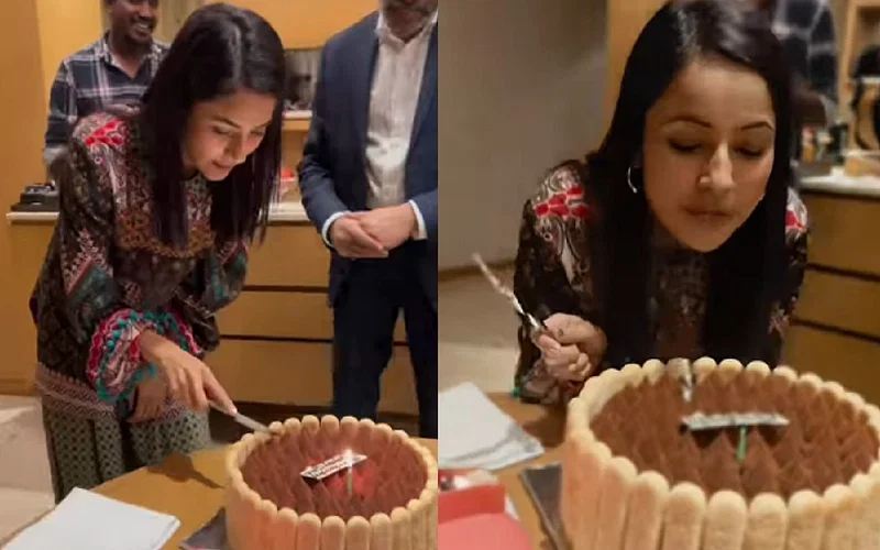 Shehnaaz Gill birthday post