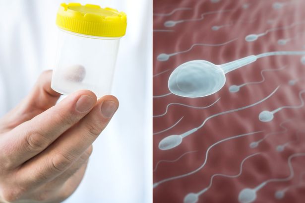 Sperm Donation