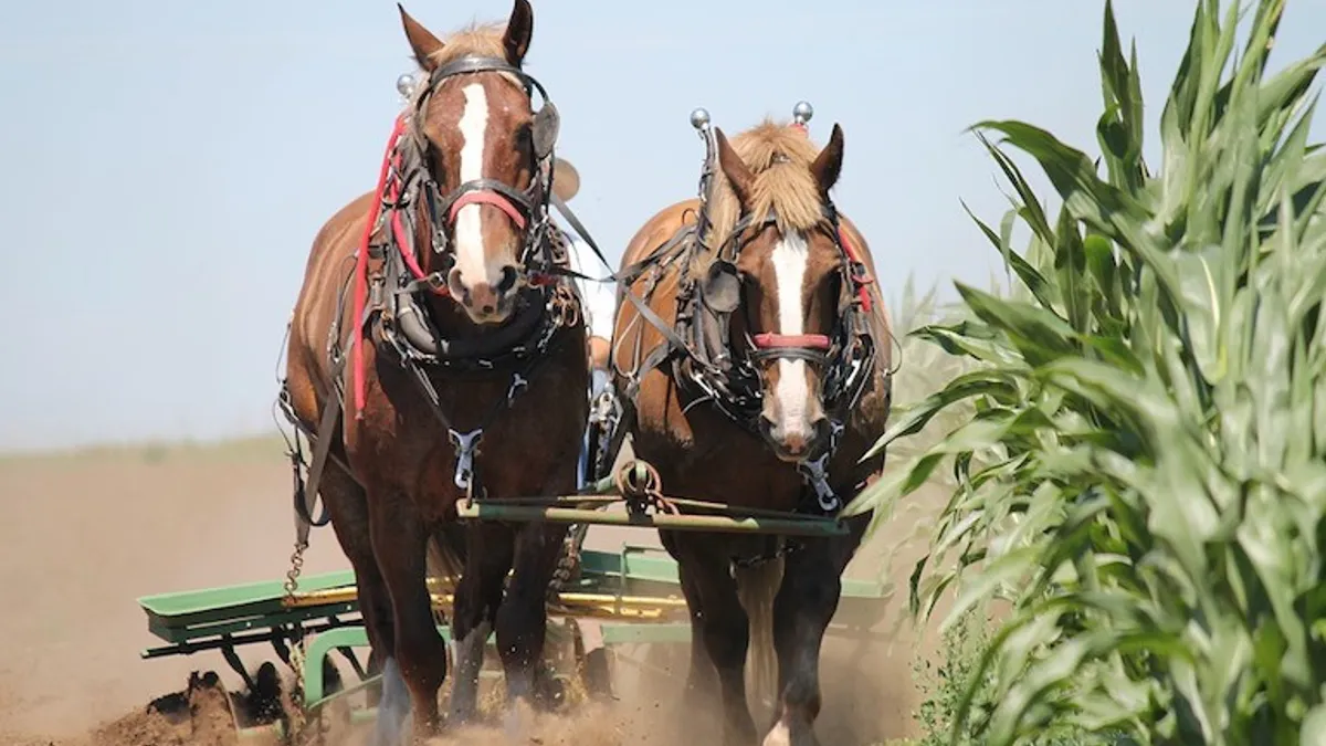 Horse Power