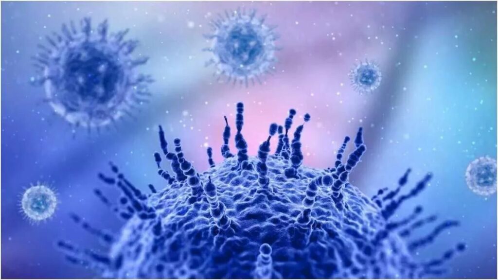 karnataka h3n2 virus