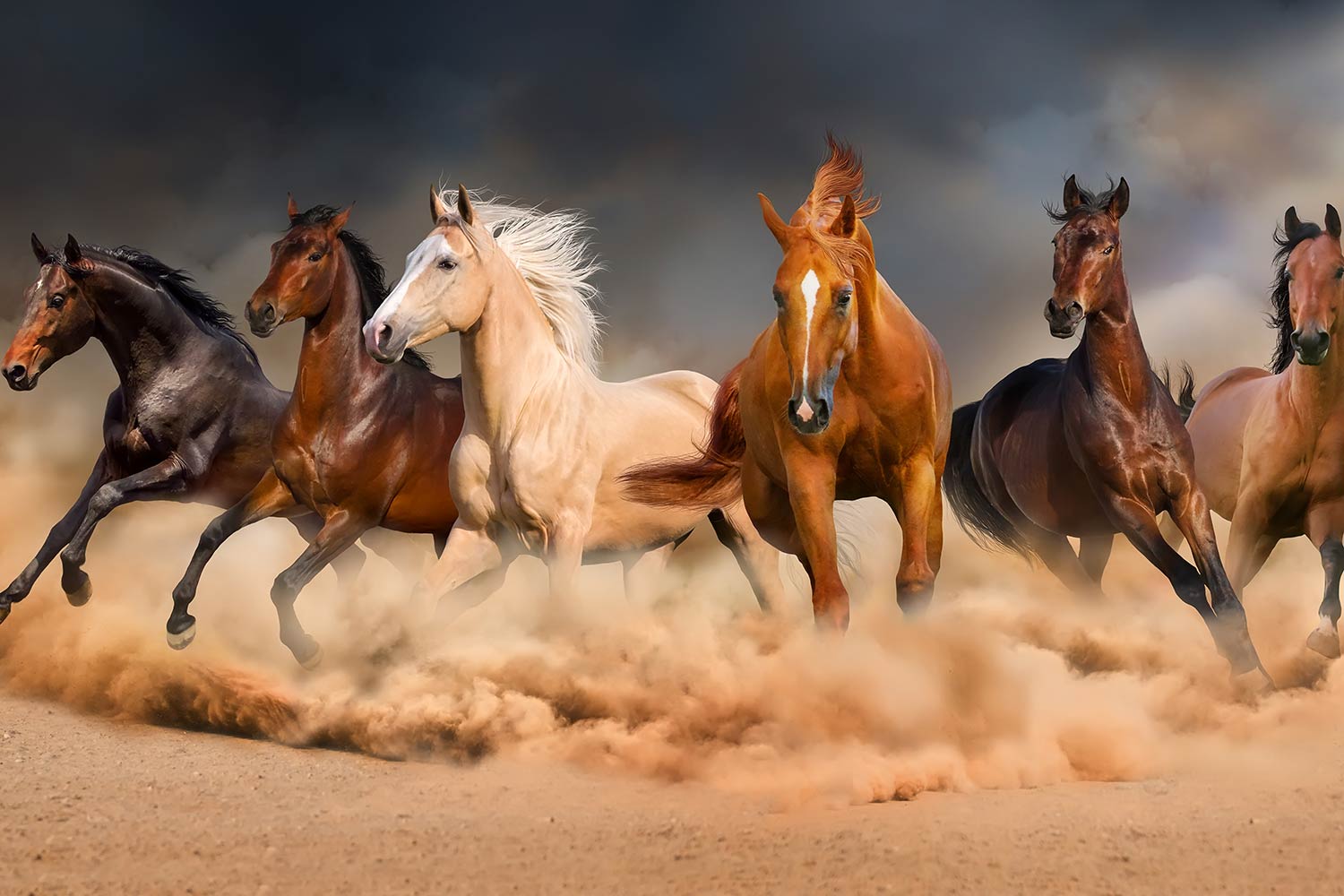 Horse Power