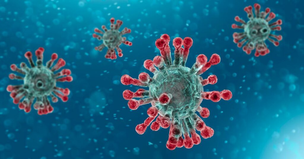 Corona Virus