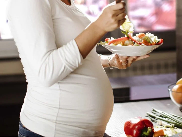 Diet During Pregnancy