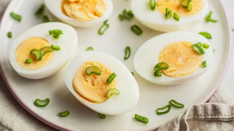 Egg