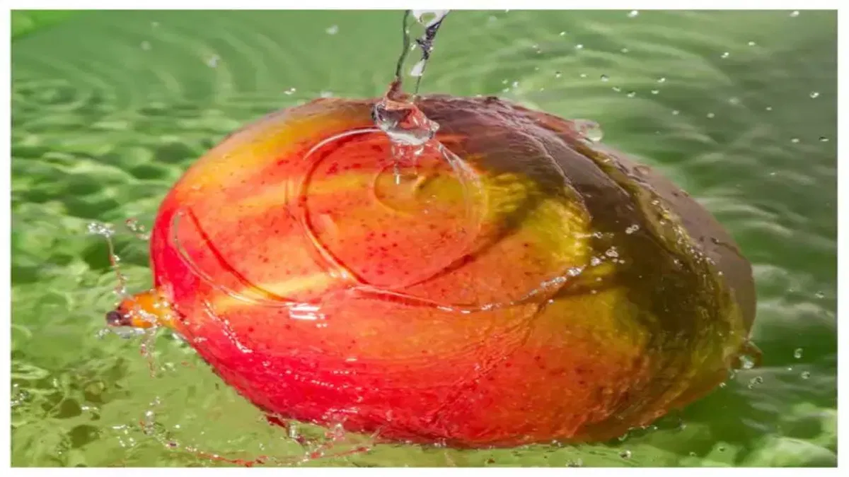 Mango