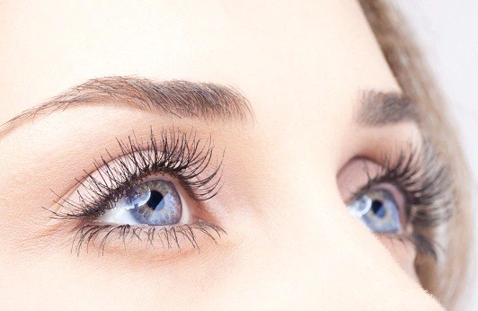 Eyes