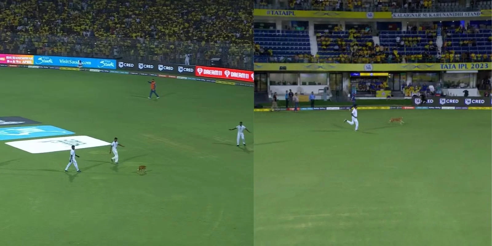 IPL 2023