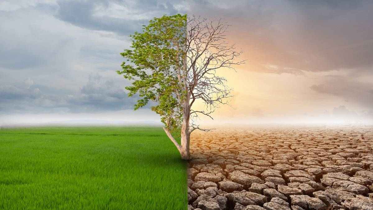 Climate Change