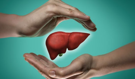 Liver