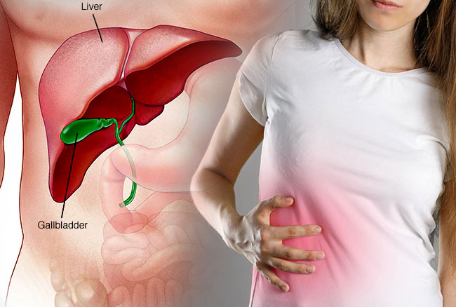 Liver