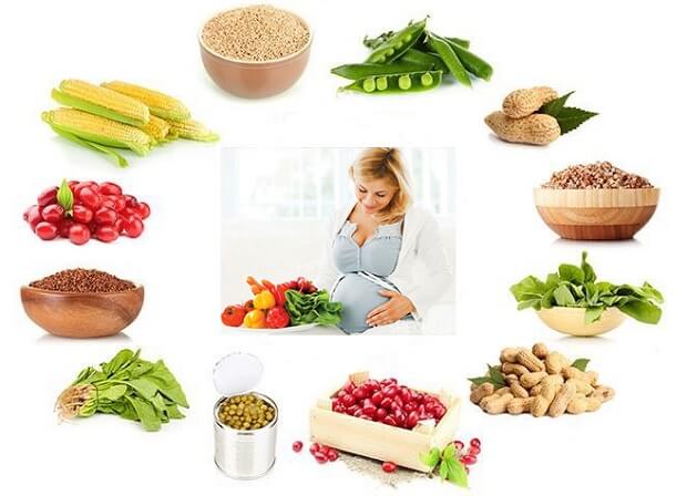 Diet During Pregnancy