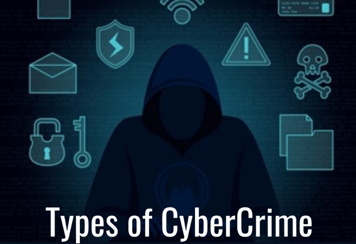 Cyber Crime