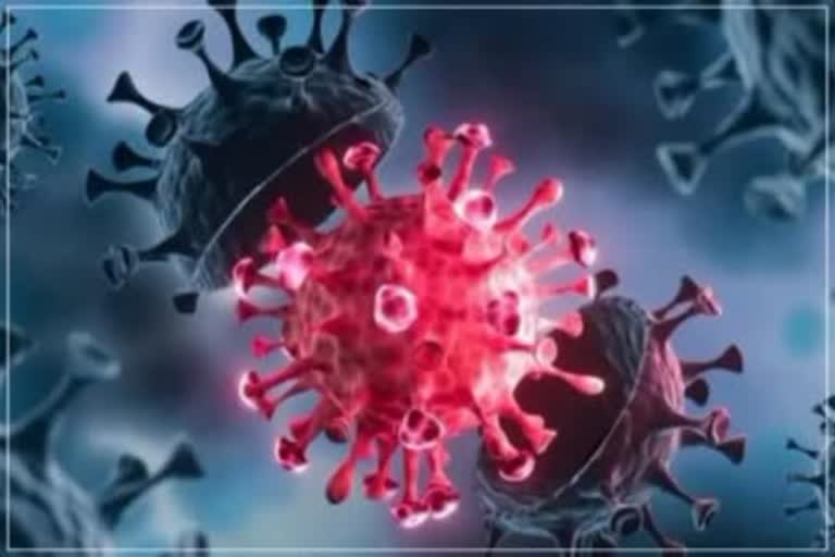 Corona Virus