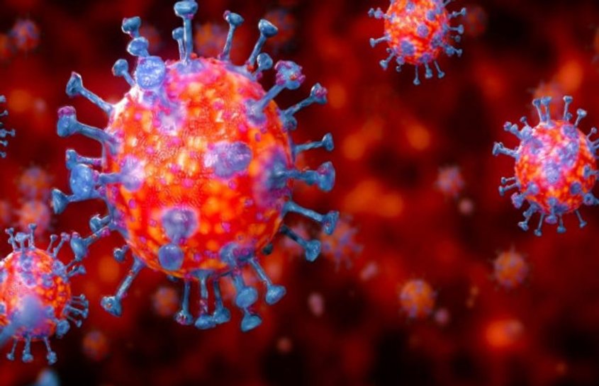 Corona Virus